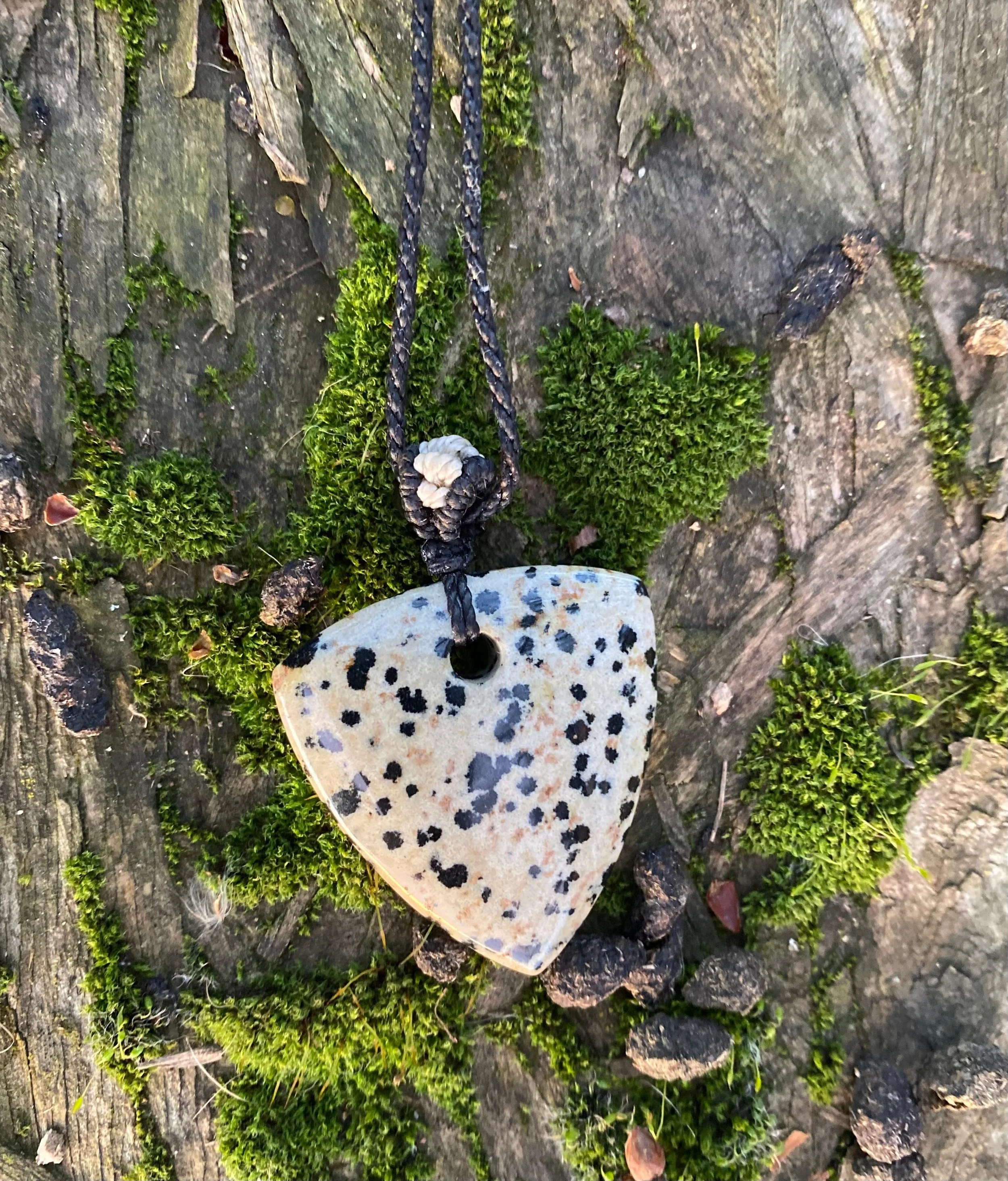 WhatsApp Image 2026-01-05 at 11.39.43 AM (5).jpeg