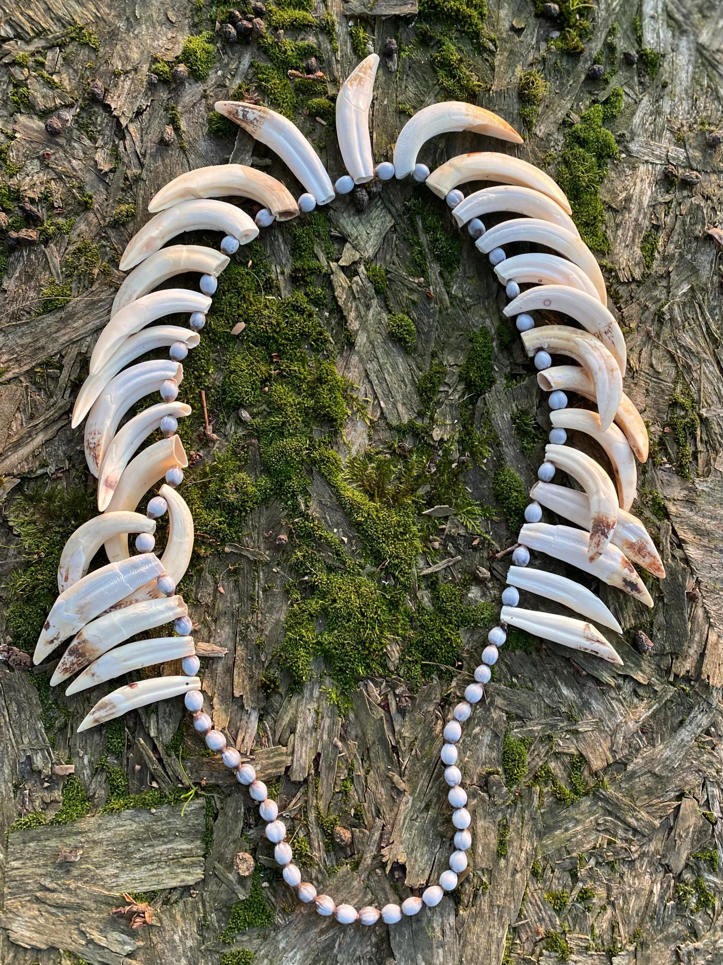 WhatsApp Image 2026-01-05 at 11.39.46 AM.jpeg