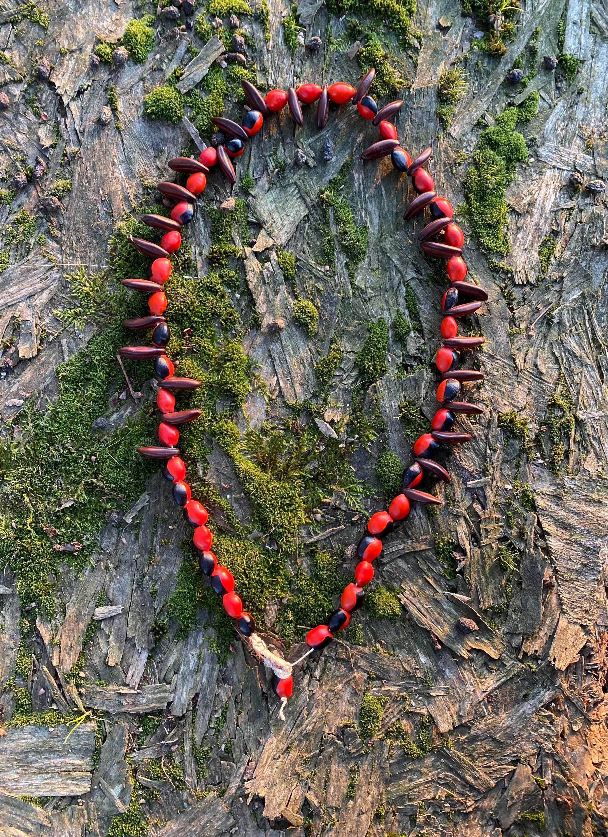 Seeds necklace £35.jpeg