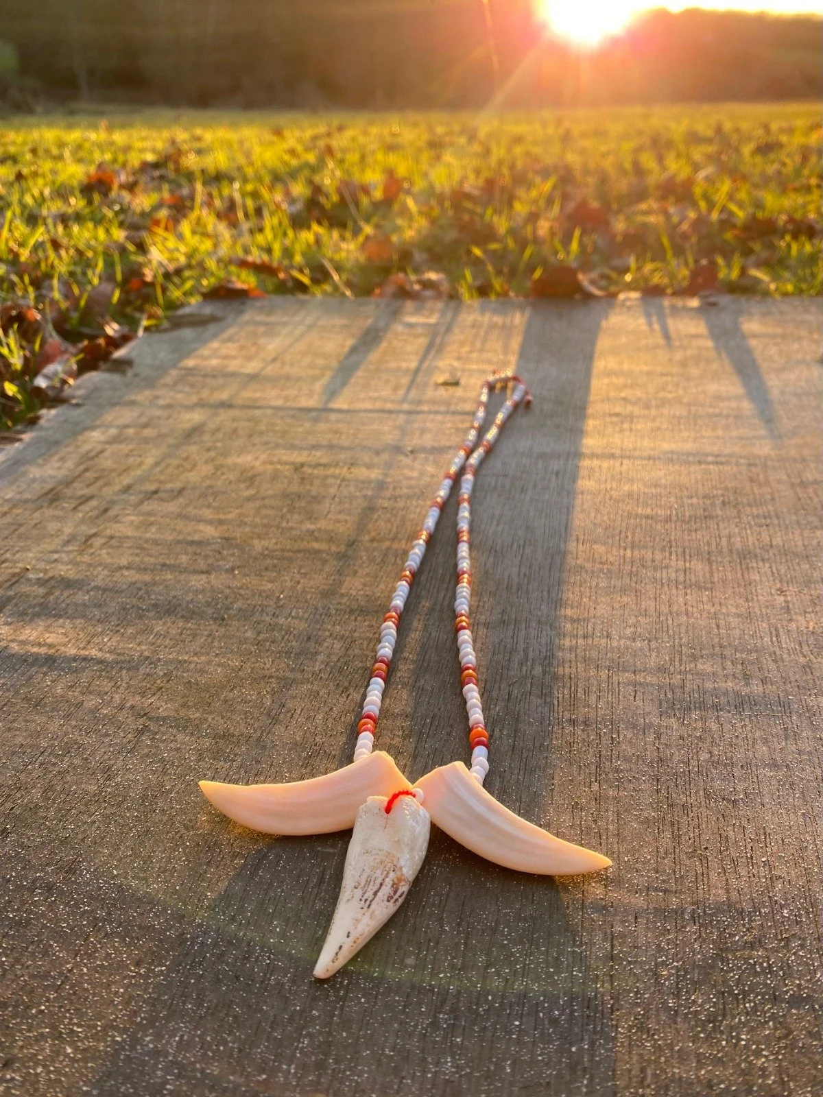 WhatsApp Image 2026-01-07 at 12.42.31 PM (4).jpeg