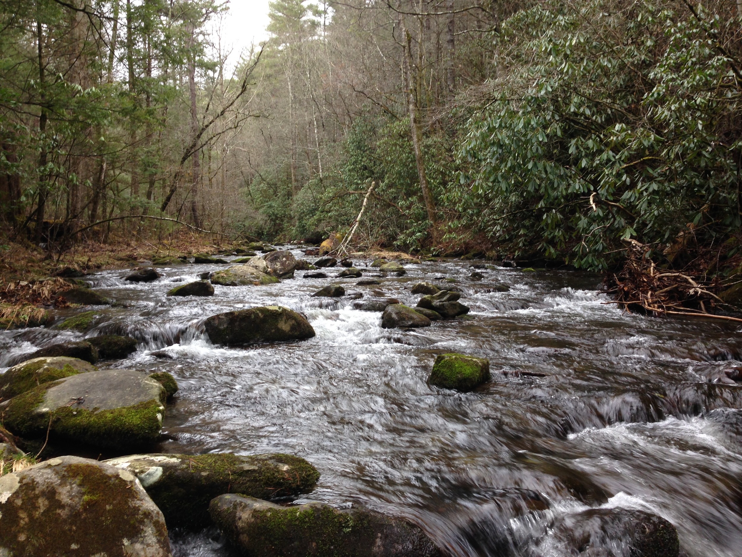 Cades Cove. Spring 2014