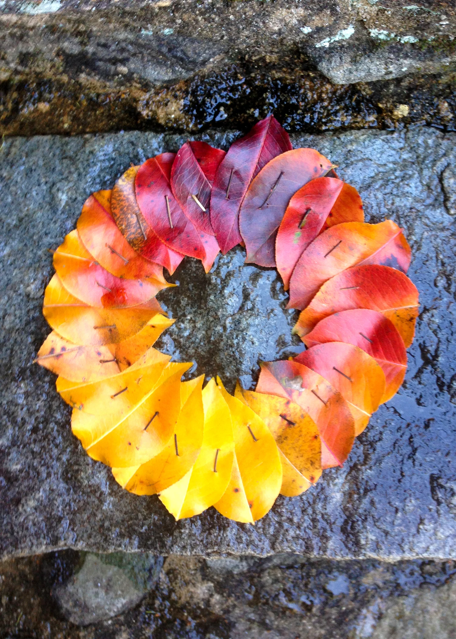 leaves07.jpg