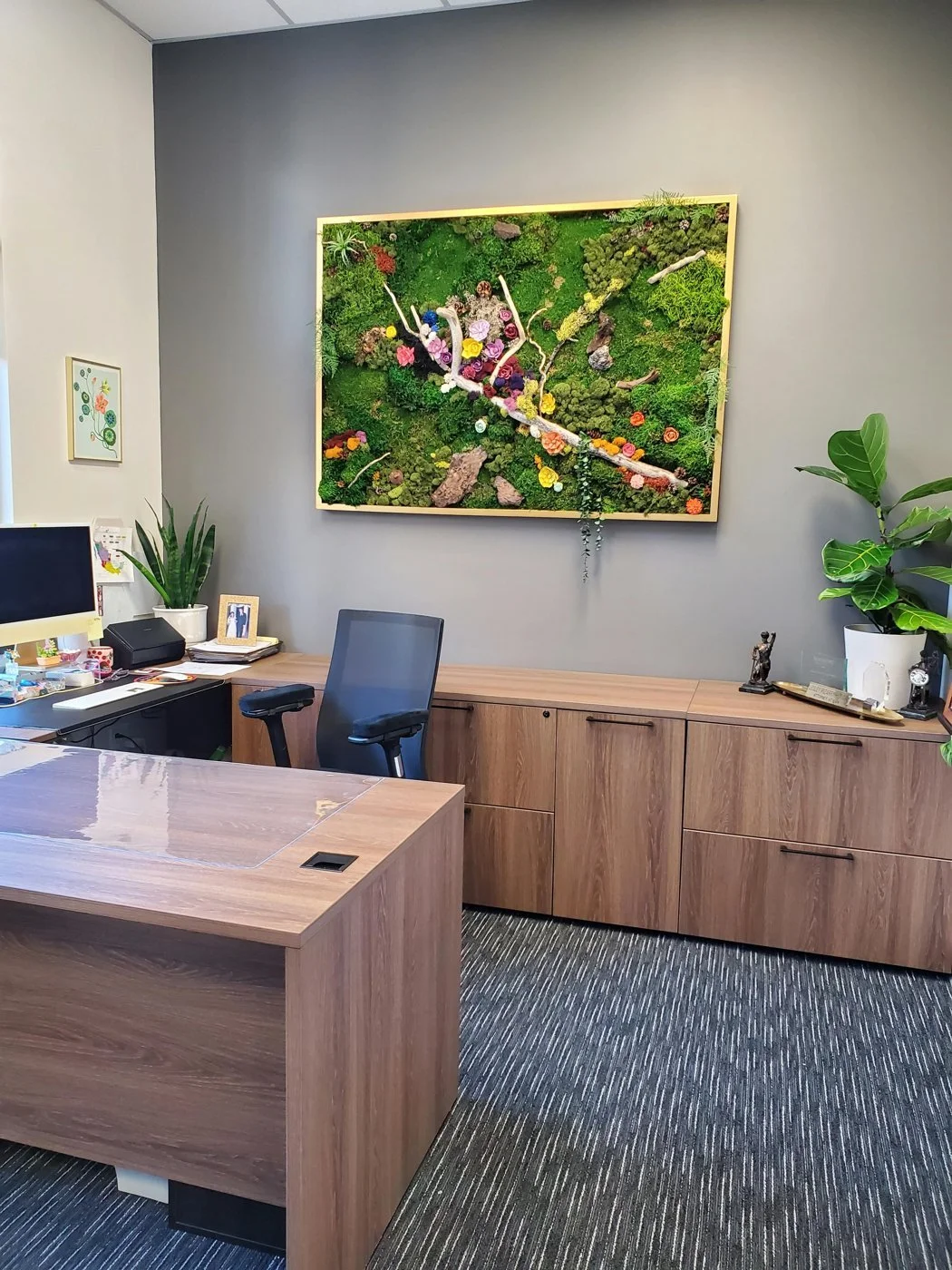 Attorney Lesley Irizarry-Hougan's remodeled office in Seattle, with a wood desk, plants and a colorful moss art wall