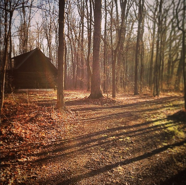 The little cabin in the woods I retreat to