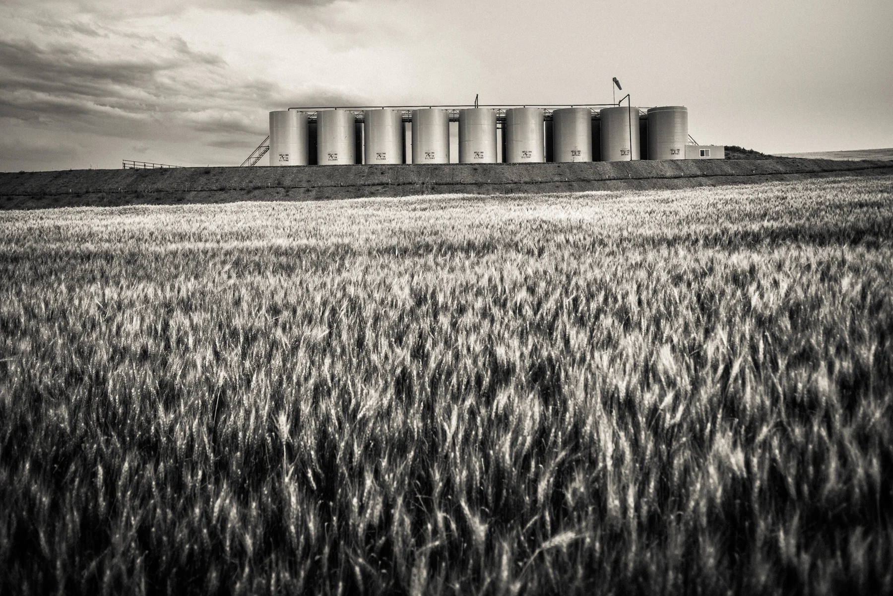 Prior to the current boom of oil production in western North Dakota, dry wheat farming was the primary source of income for area residents. Farmers will tell stories of growing up without money for shoes, but now find themselves millionaires. The dominant narrative amongst long time residents is of economic advancement, not environmental woe.