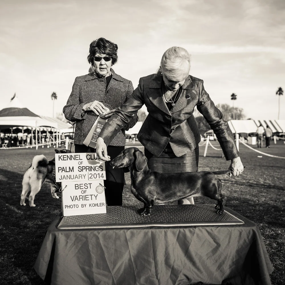 john_mireles-polo_fields-1792.jpg