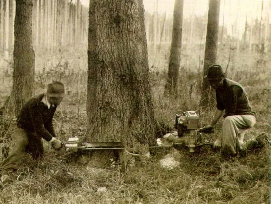 10 Things You Didn't Know About Stihl