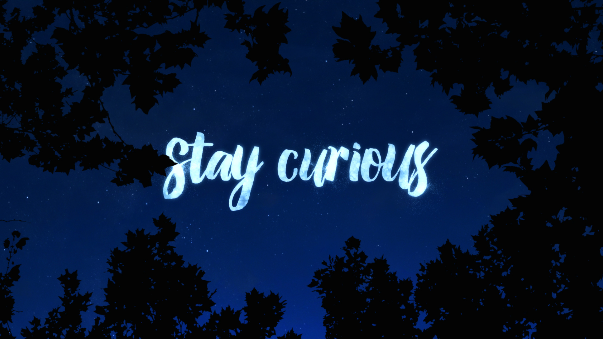 Stay Curious_12.jpg