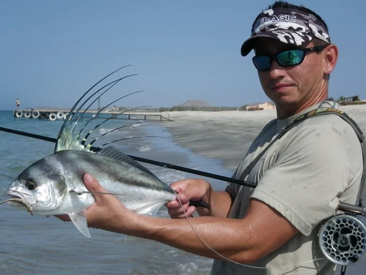 Roosterfish on the fly