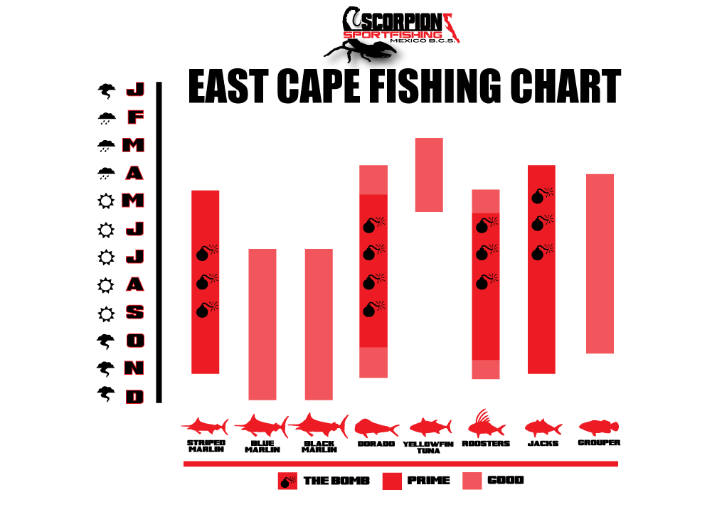East Cape Fishing Calendar