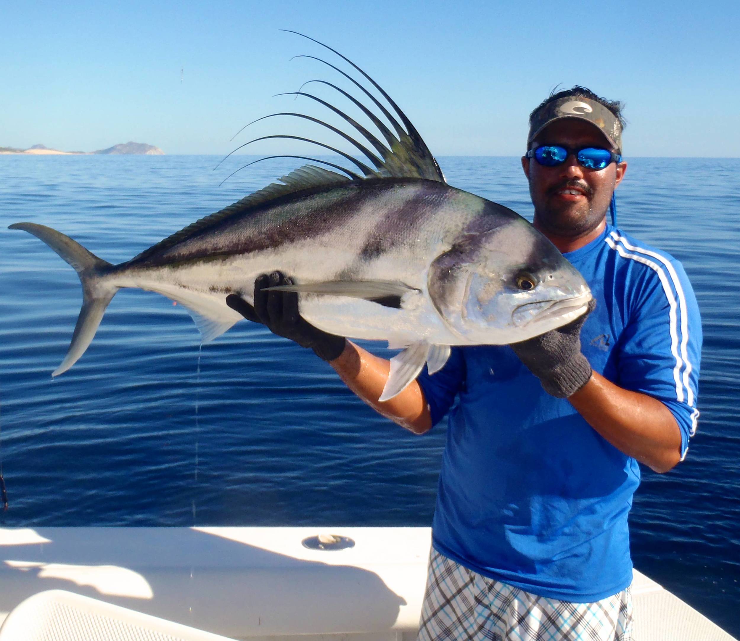 Roosterfish 