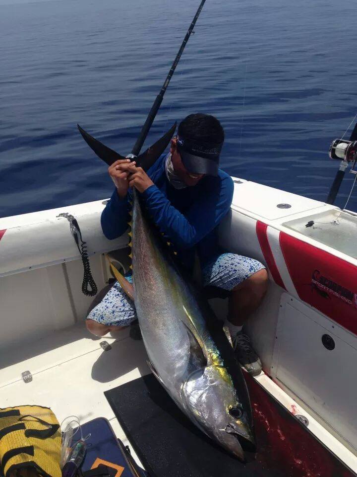 Yellowfin Tuna