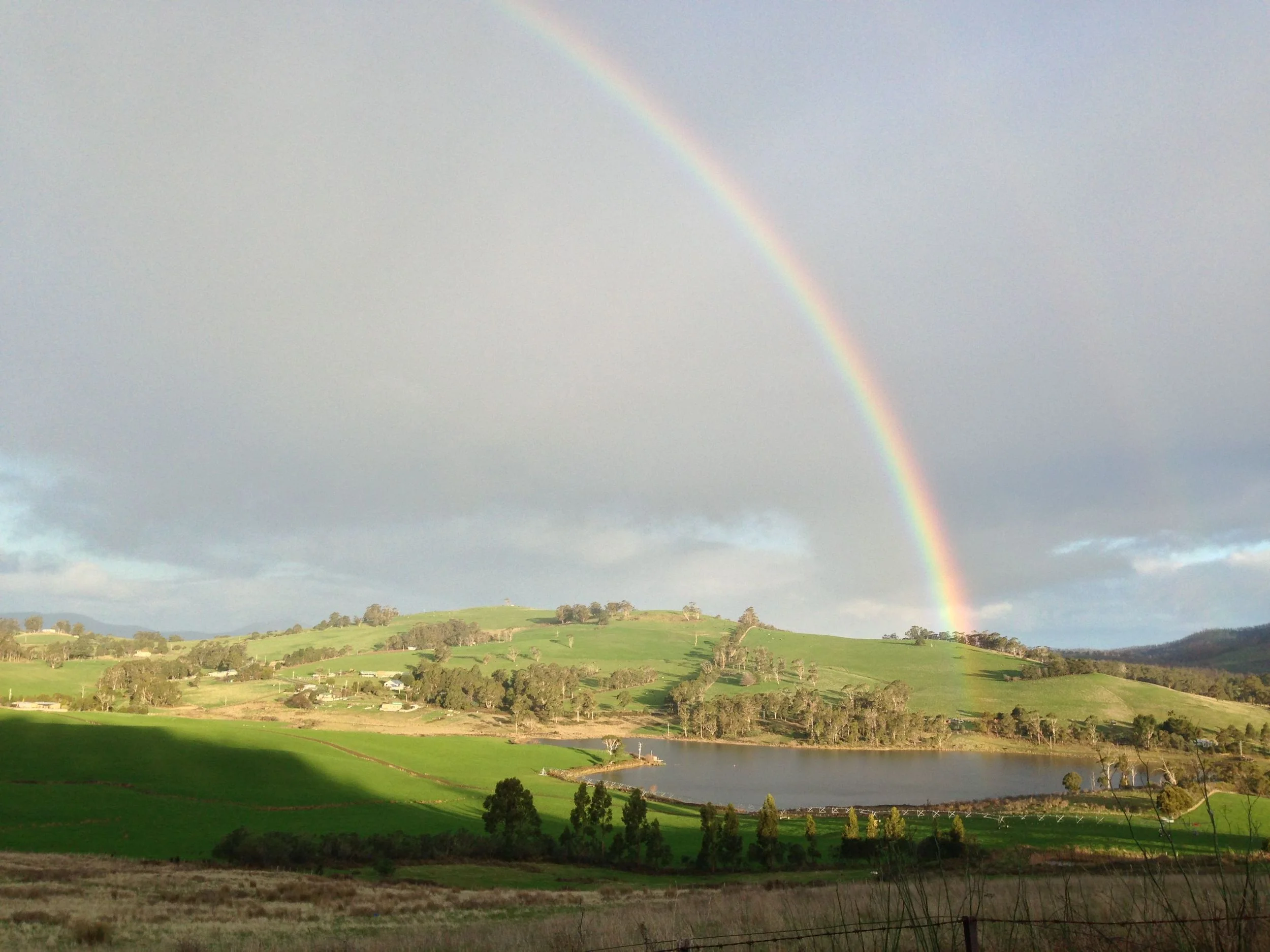 Rainbow over the Farm