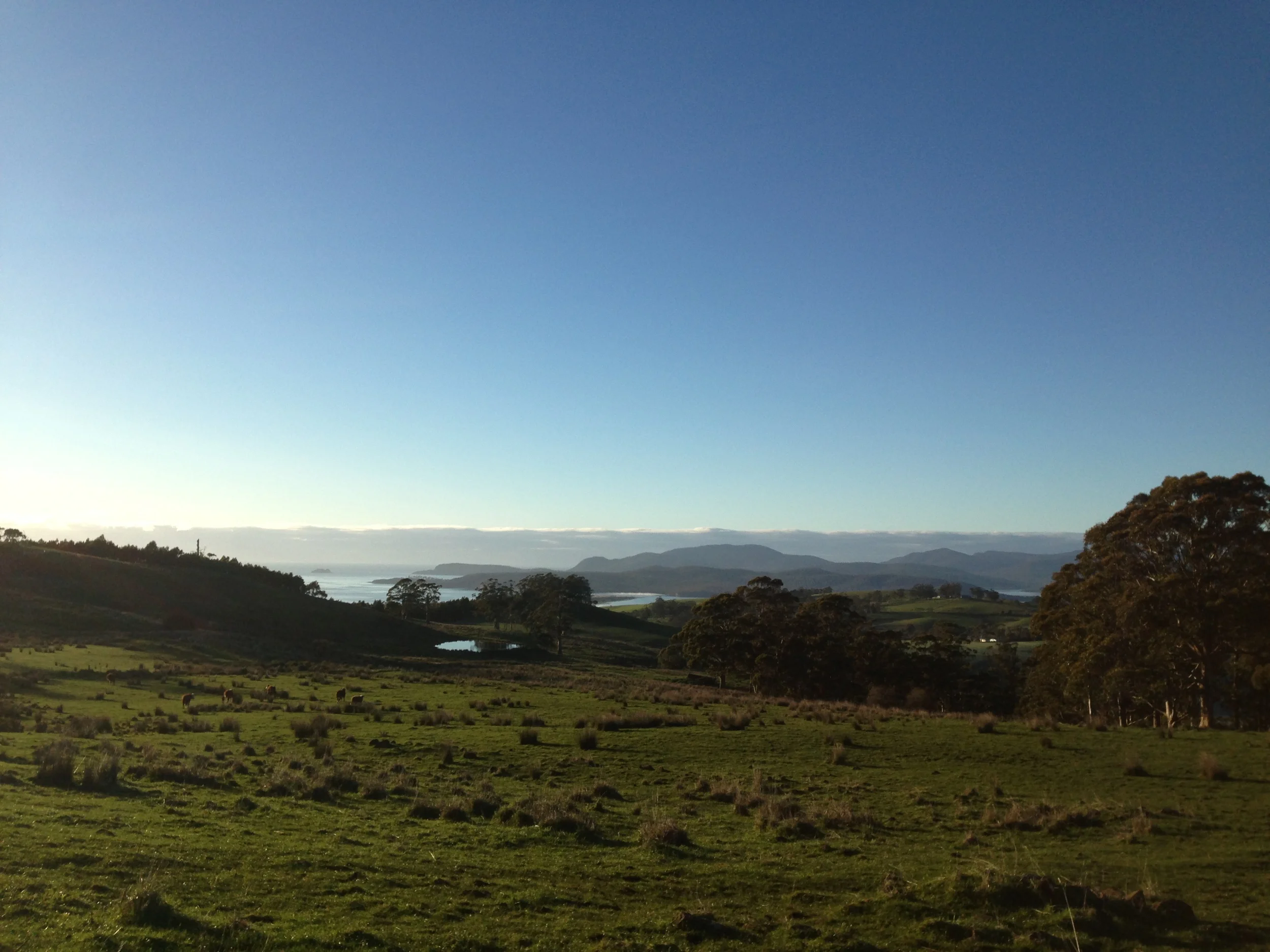 Early winter morning