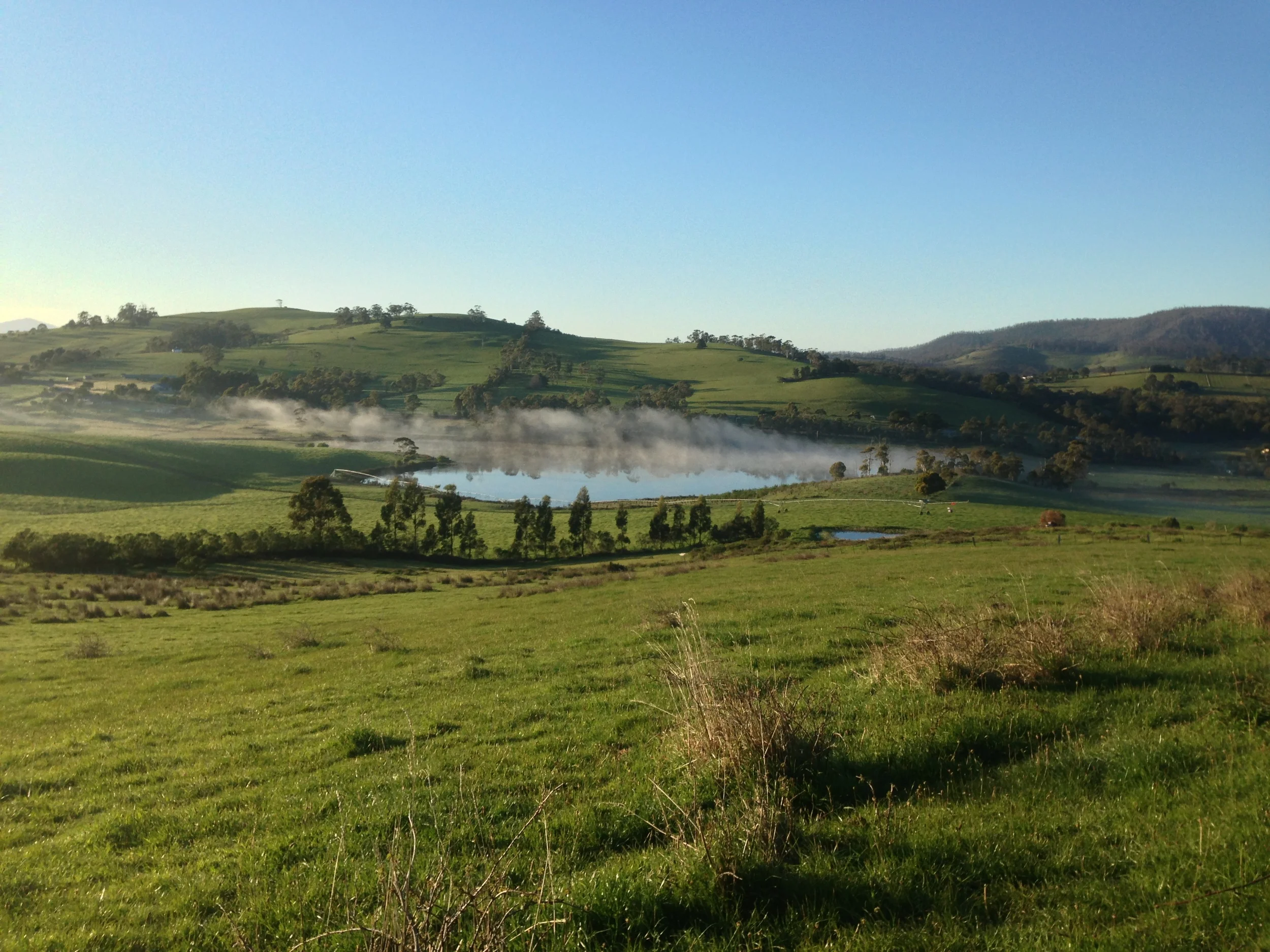 Chilly autumn morning