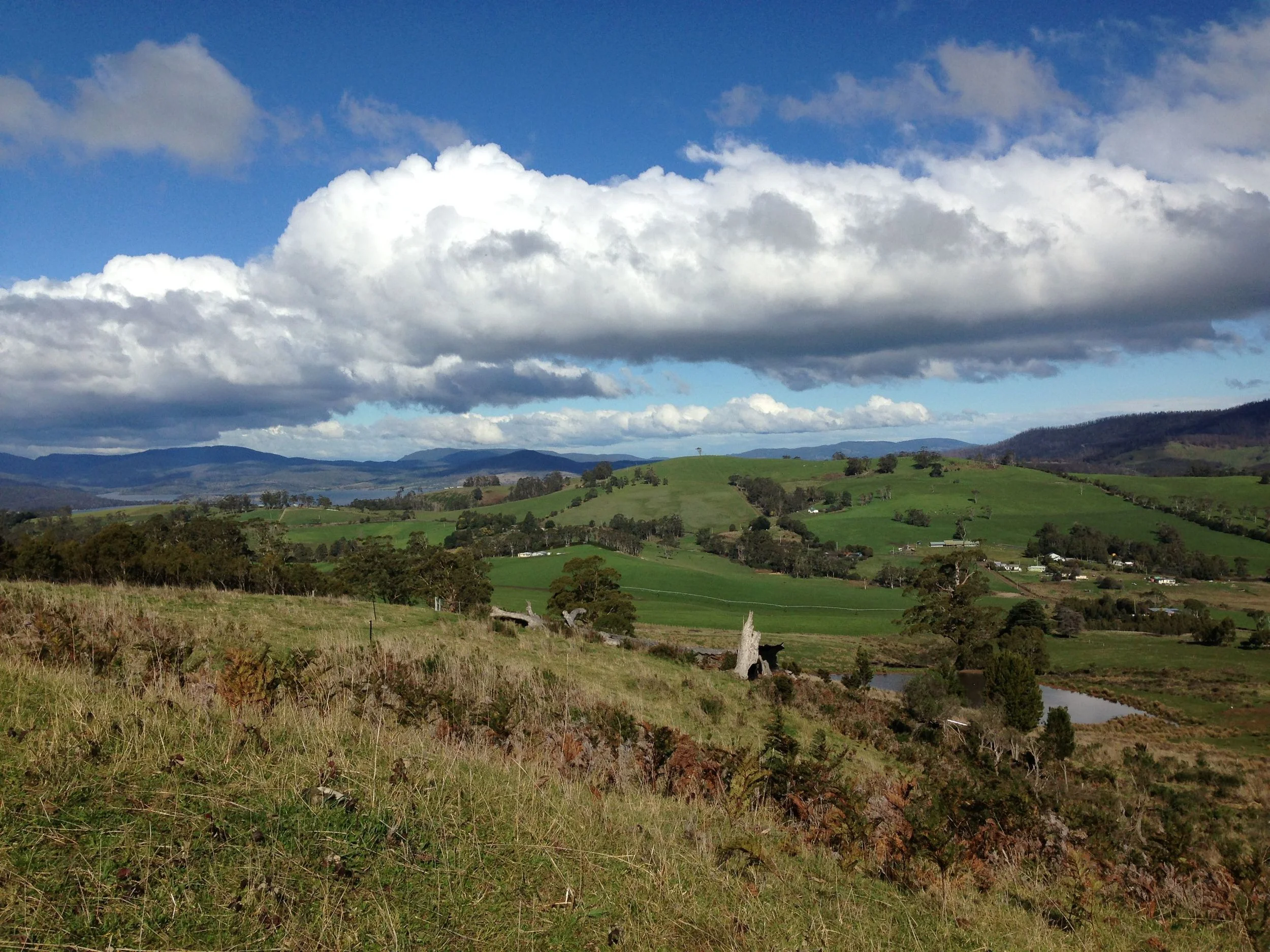 view from top of farm over BC and showground 2.jpg