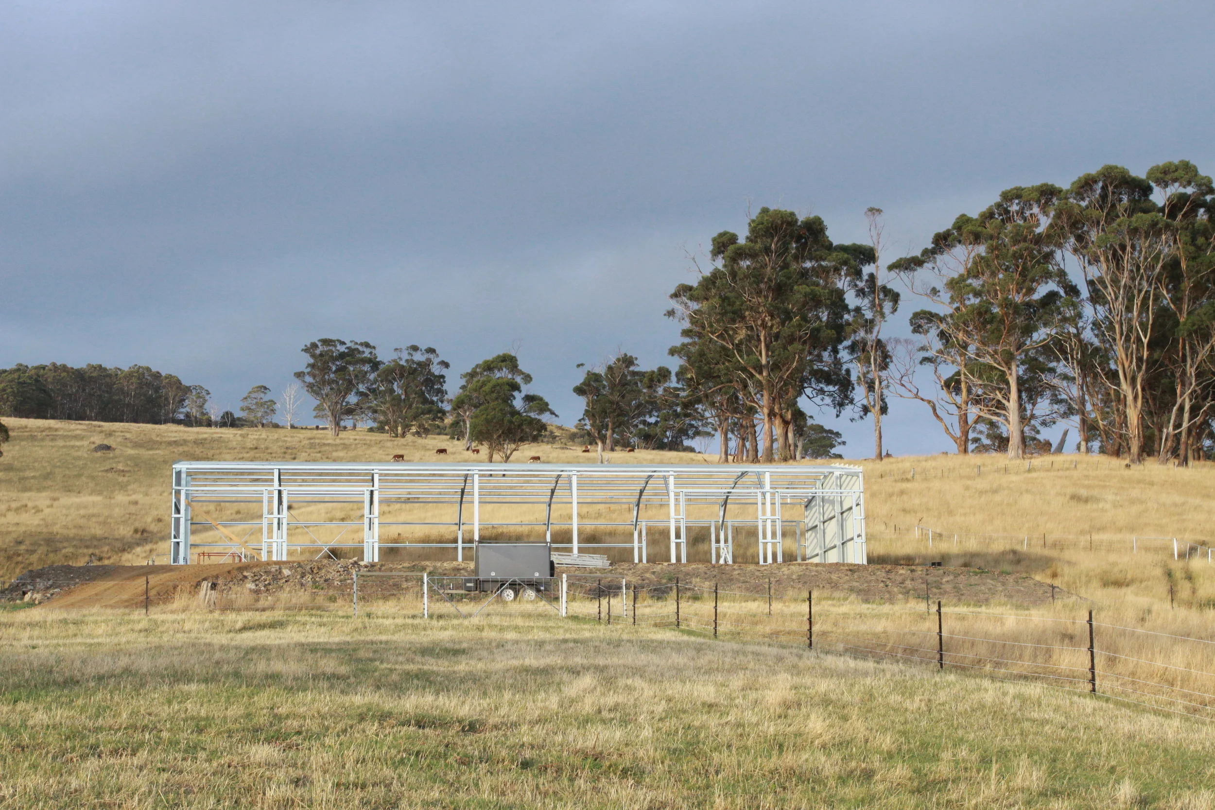 The bones are up - 25 February 2014