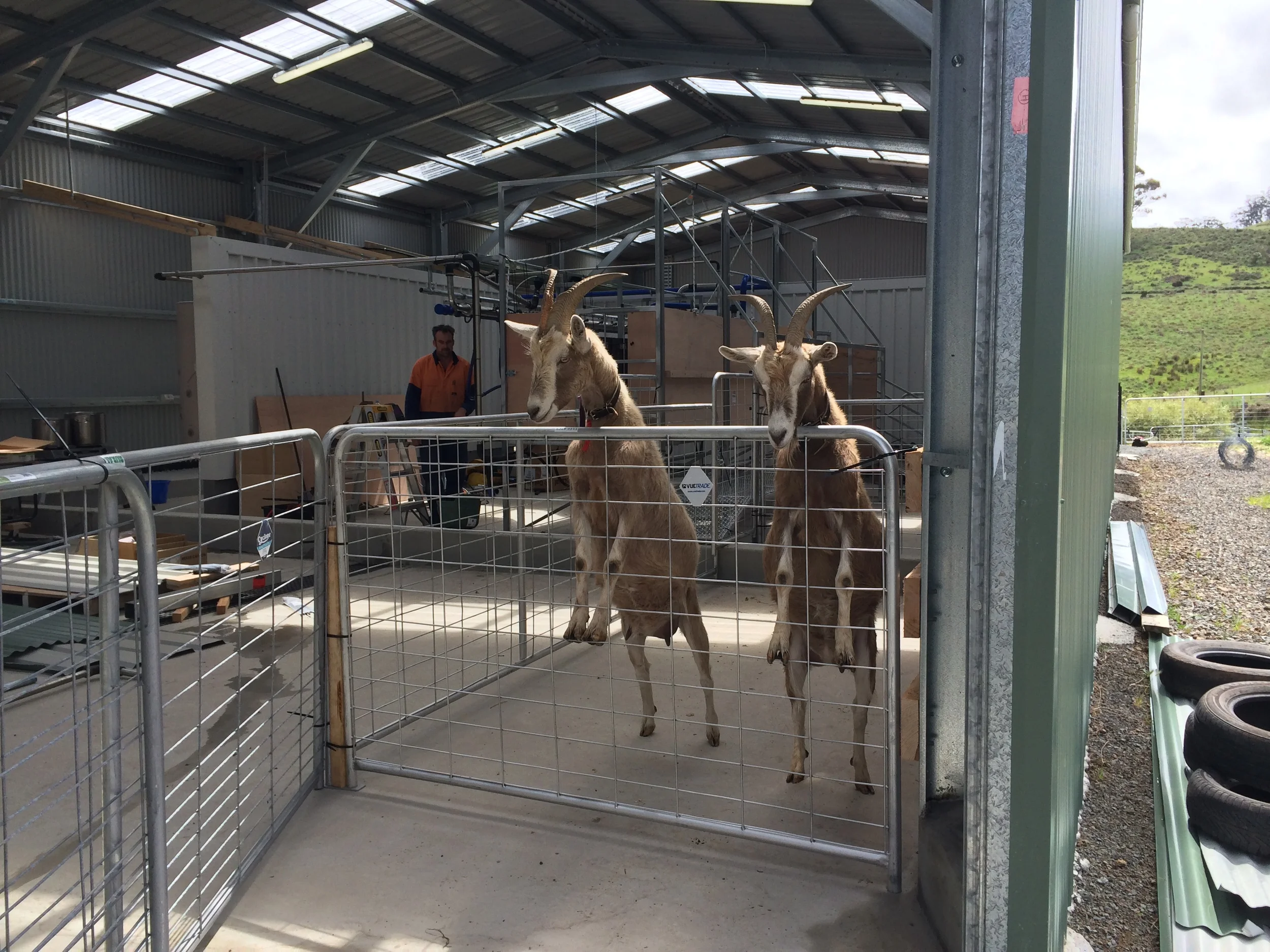 " You want us to go where??? " - 21&nbsp;November 2014