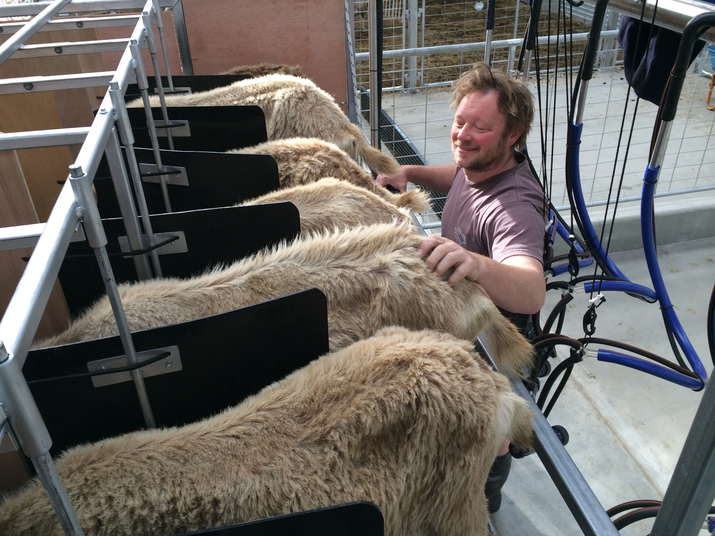 Training began - 8 December 2014