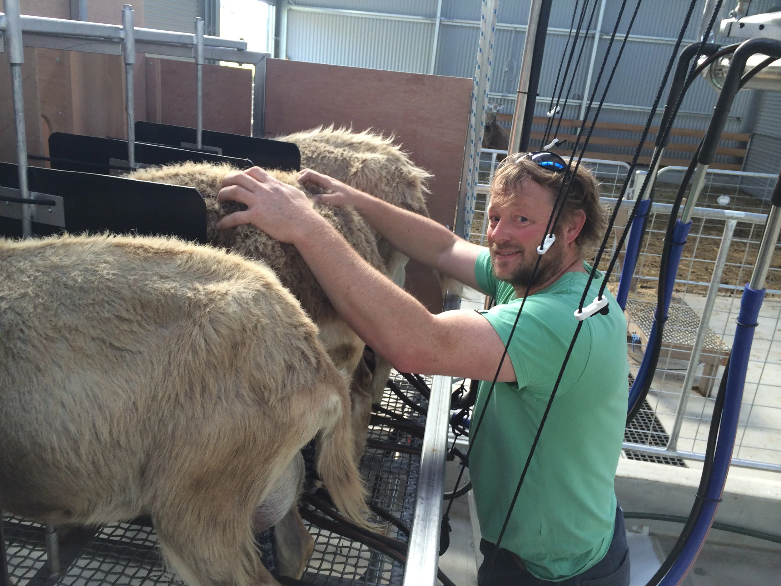 Cups on! - 12 December 2014