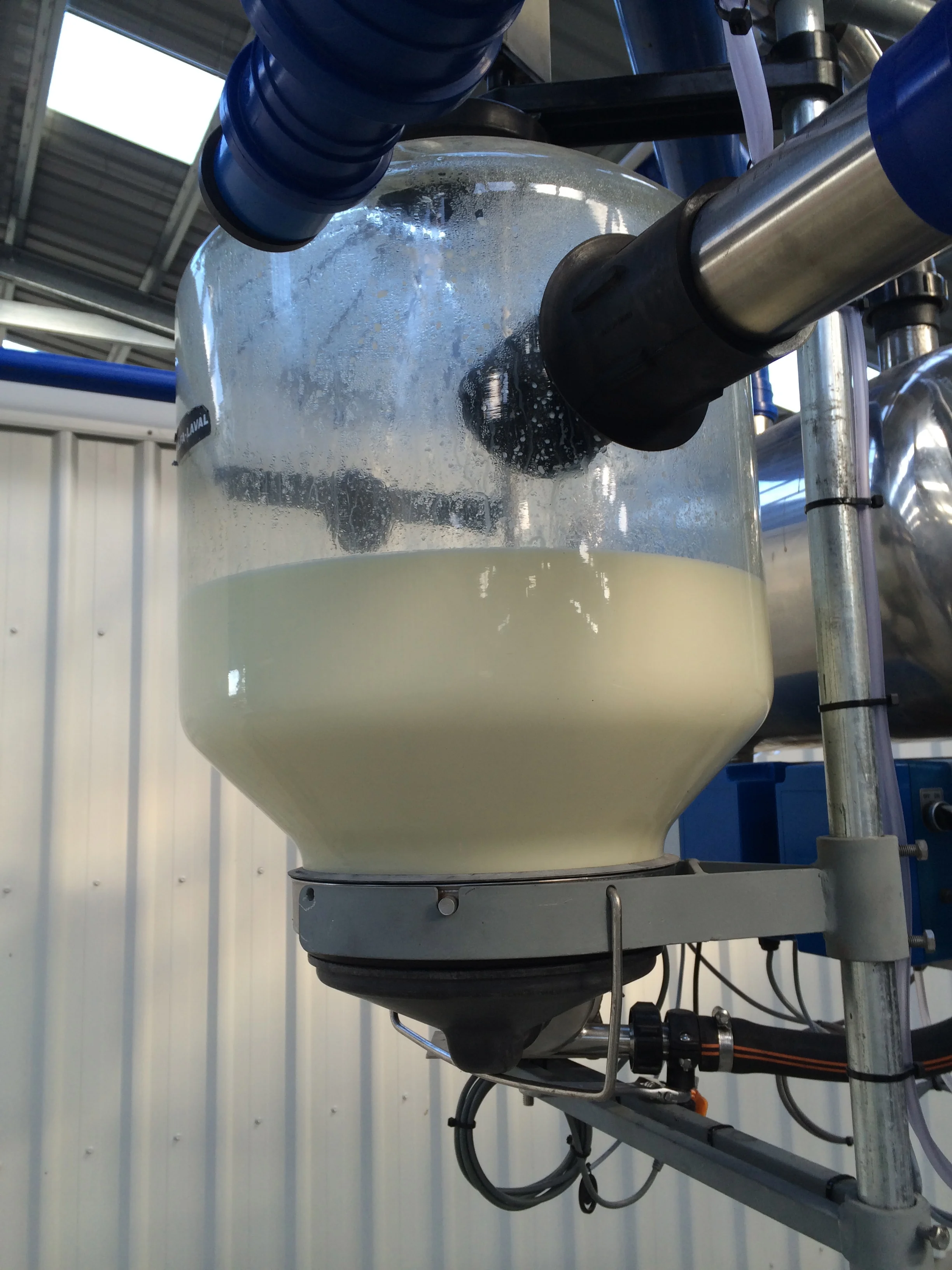 Fresh milk - 12 December 2014