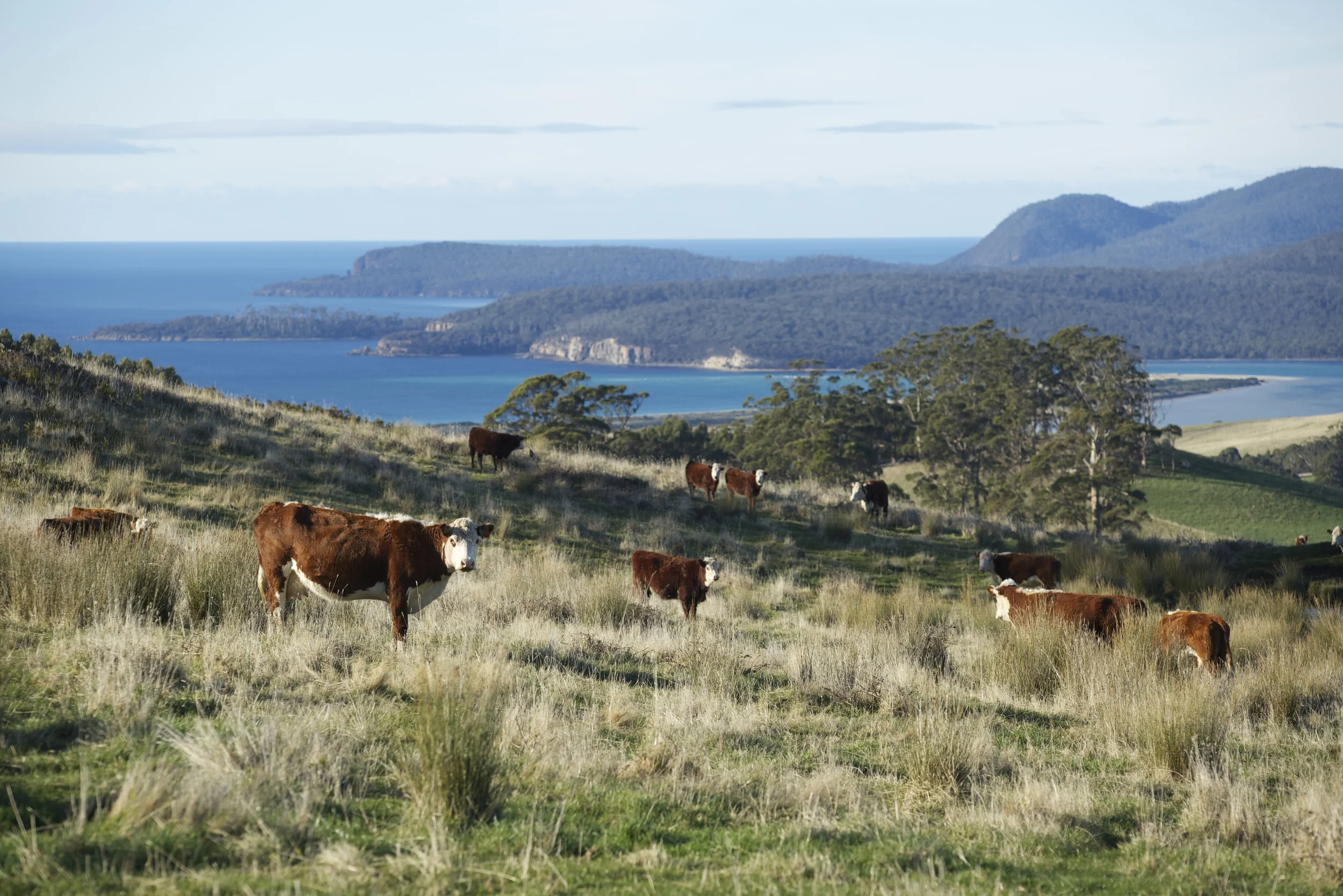 They never get tired of the view. Nor do we.