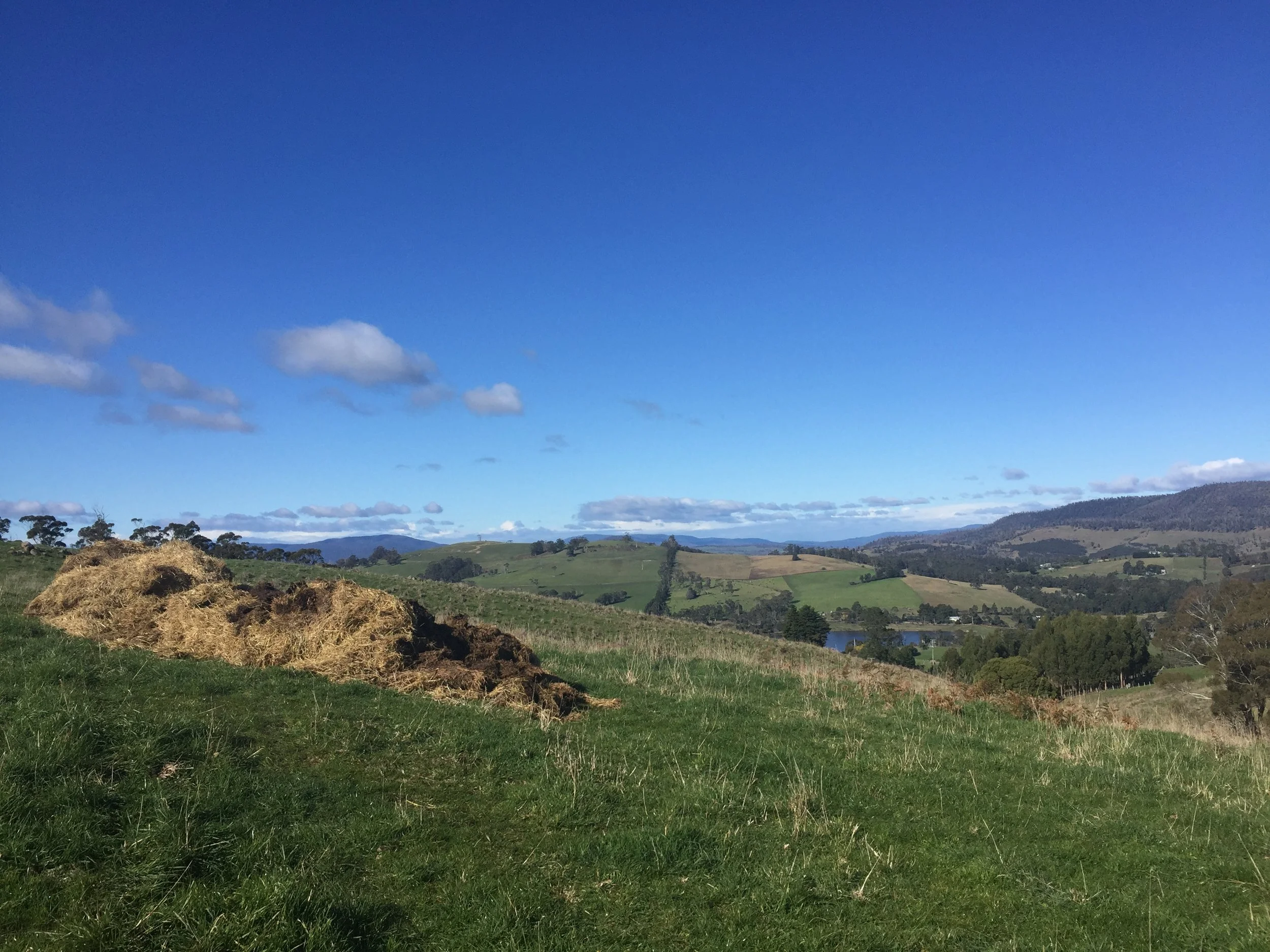 The start of the compost pile.