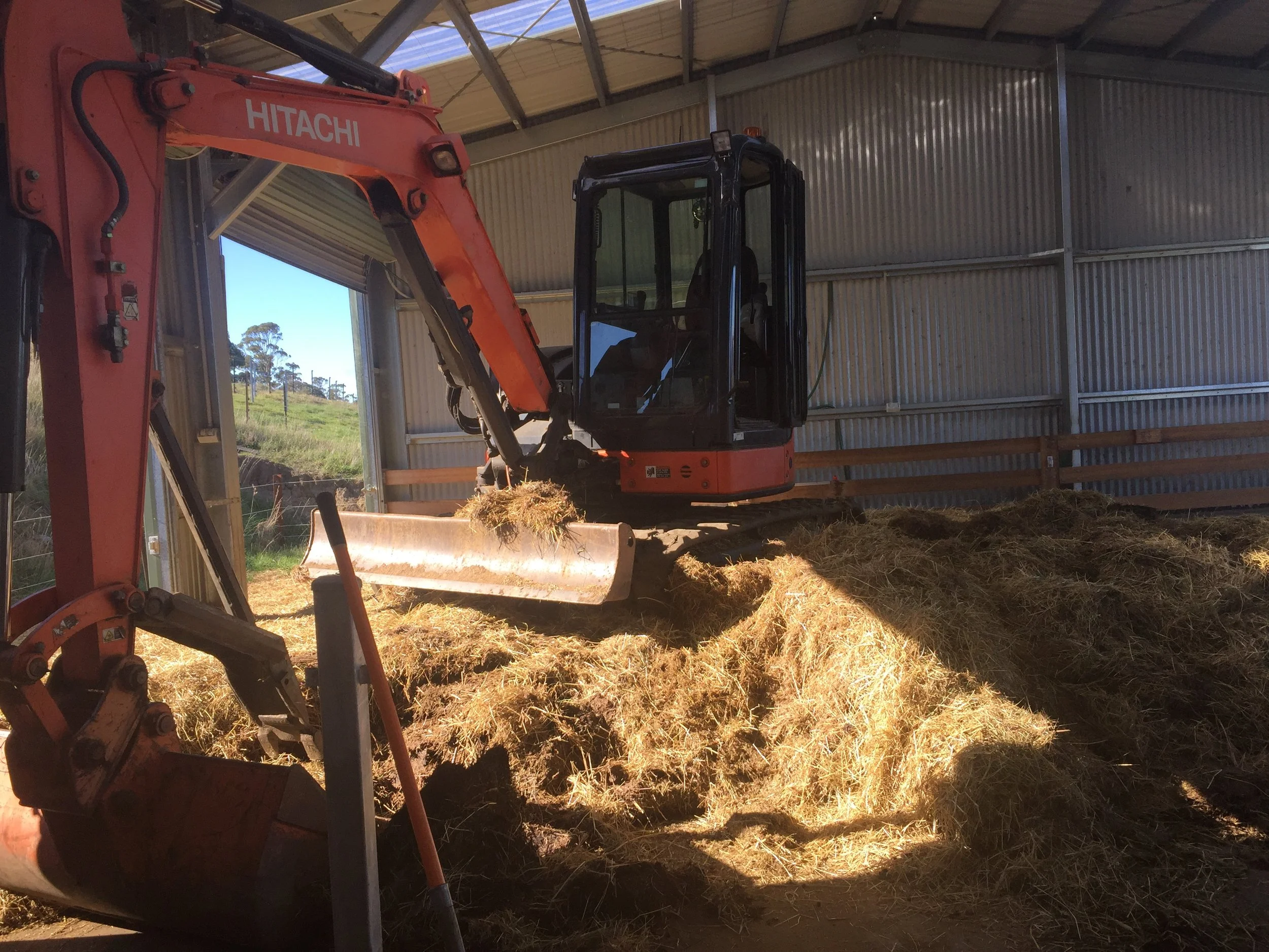 The digger, having a break for morning tea, sitting atop a year's worth of hot composting floor.