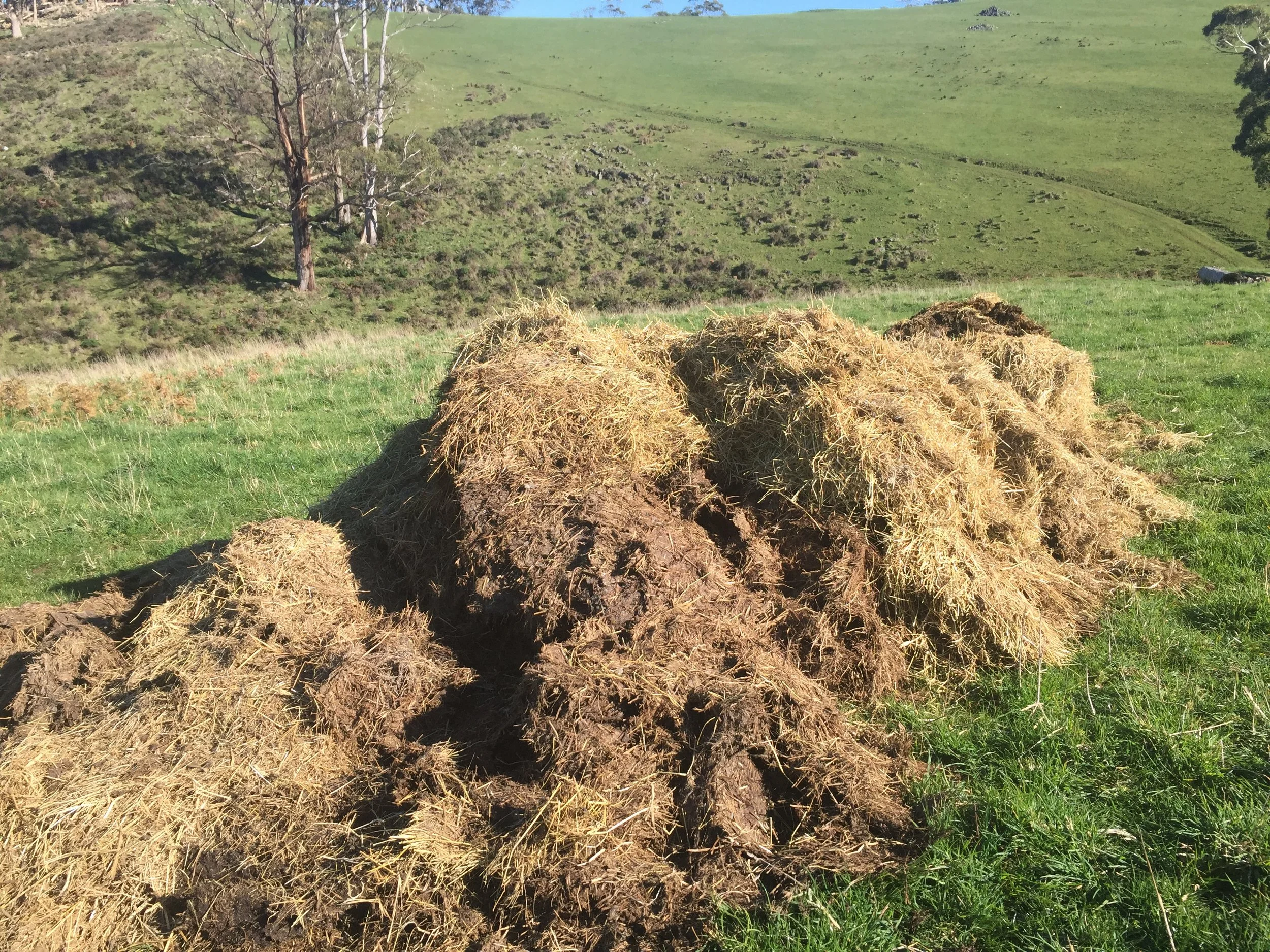 The pile begins to take shape.