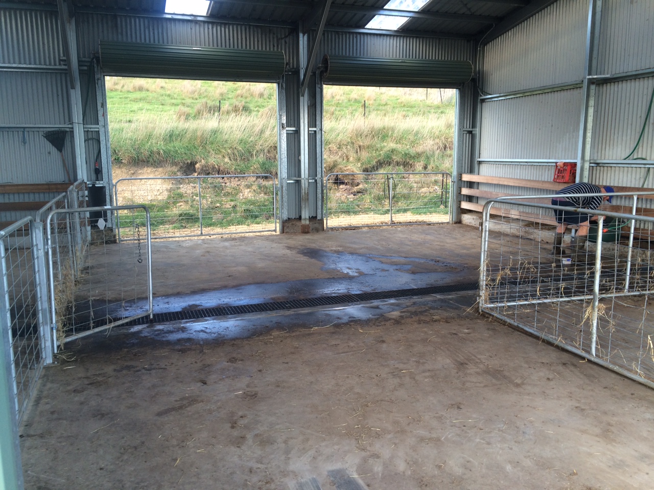 Clean floor - now to get it comfy again....
