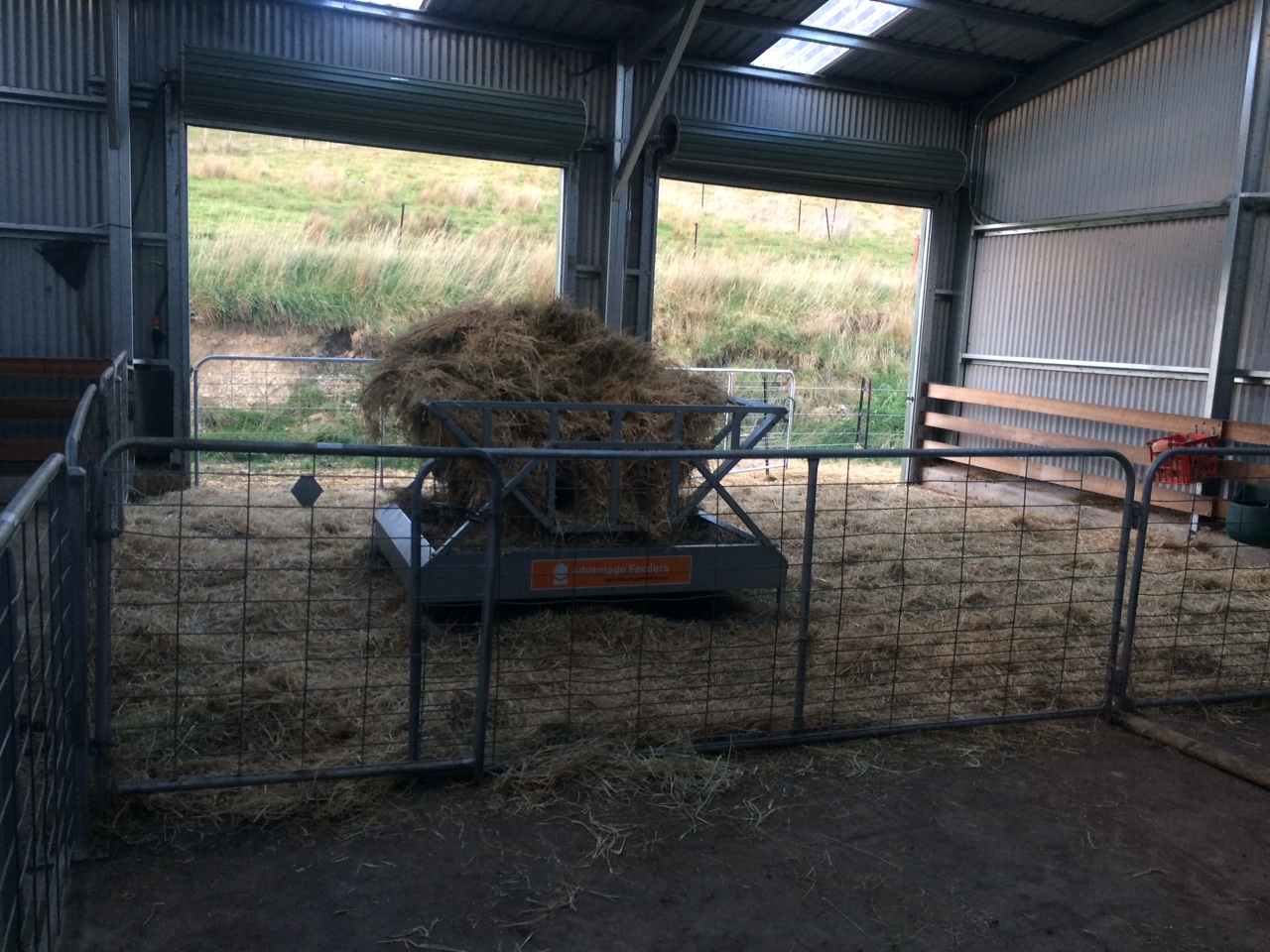 5-star accommodation, if you're a goat!