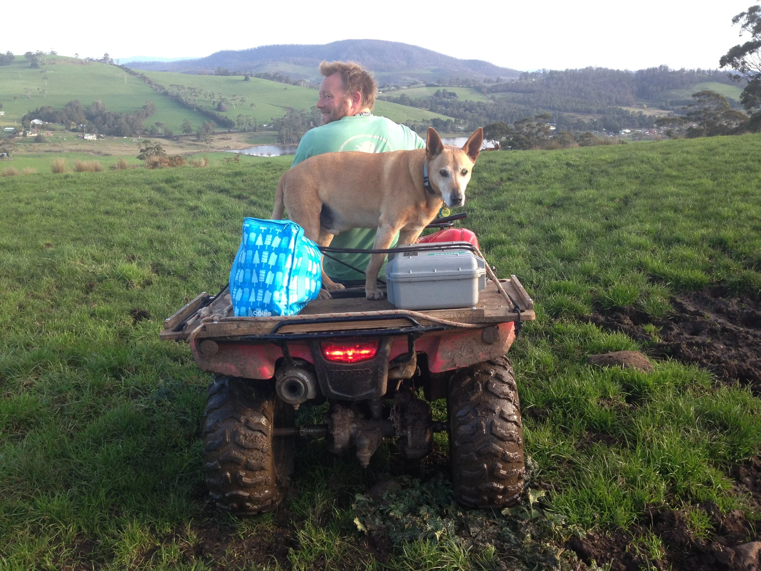 Helping Iain in the early days on the farm.