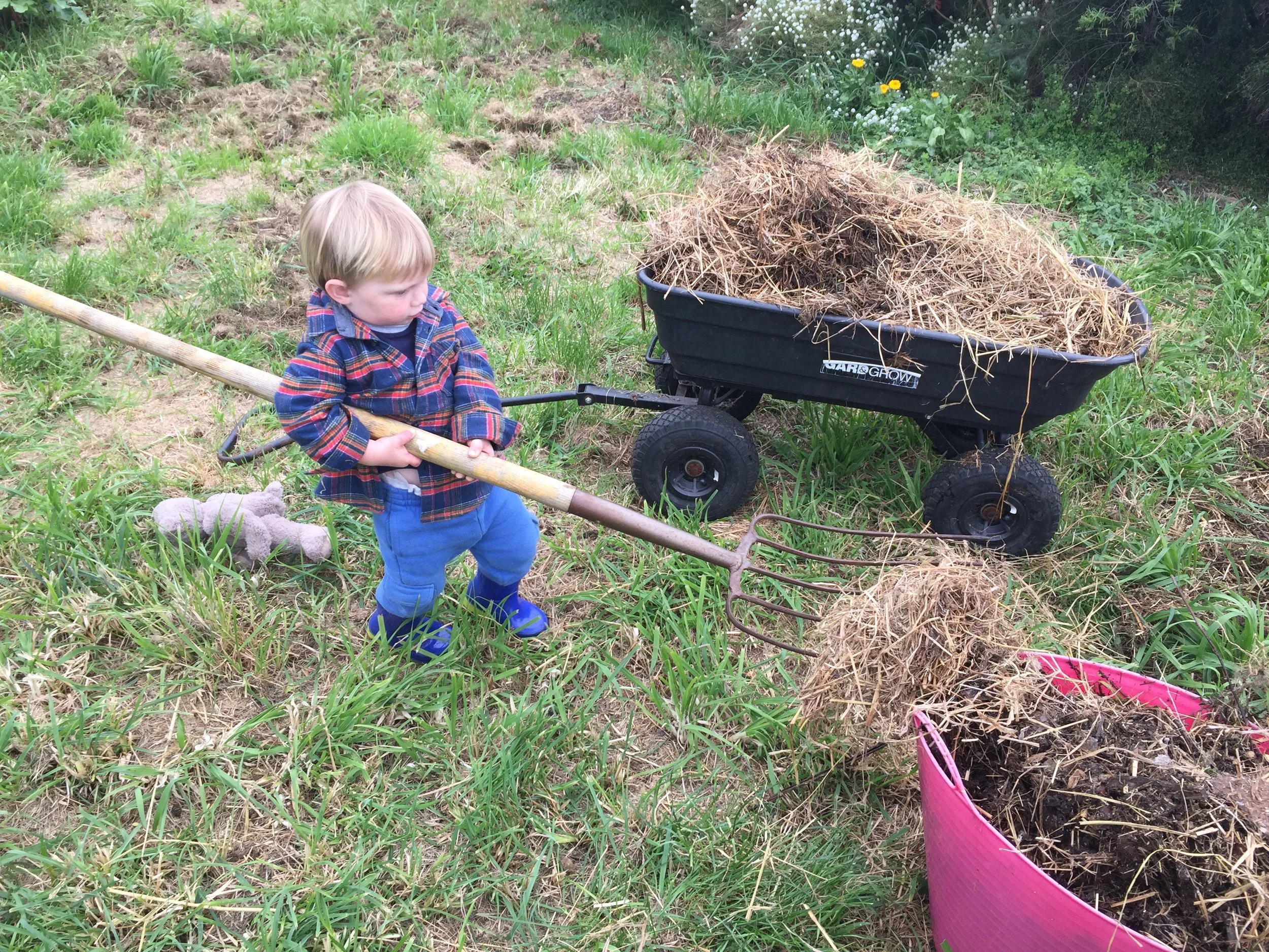 Helping.