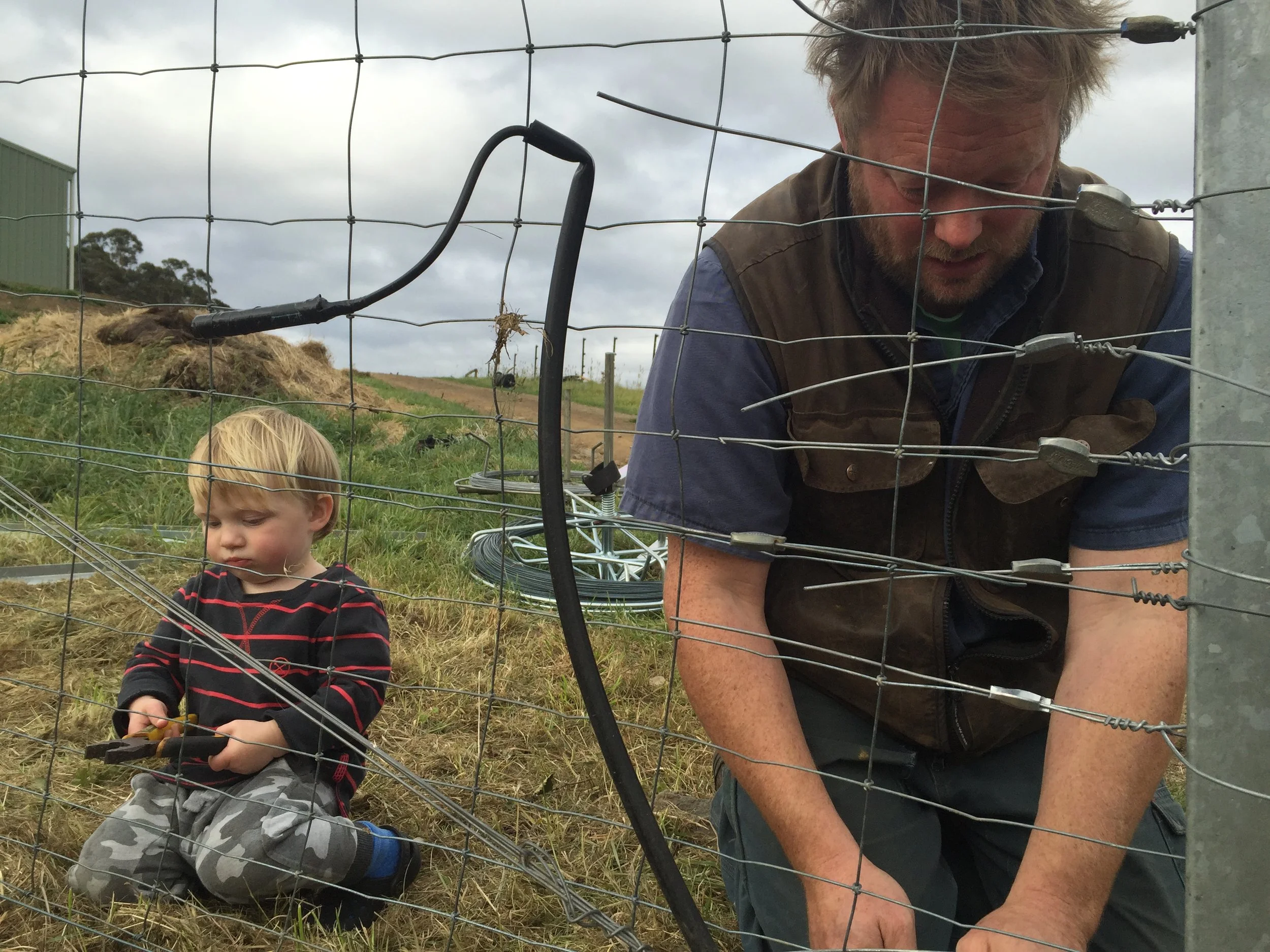 Fencing. And more helping.