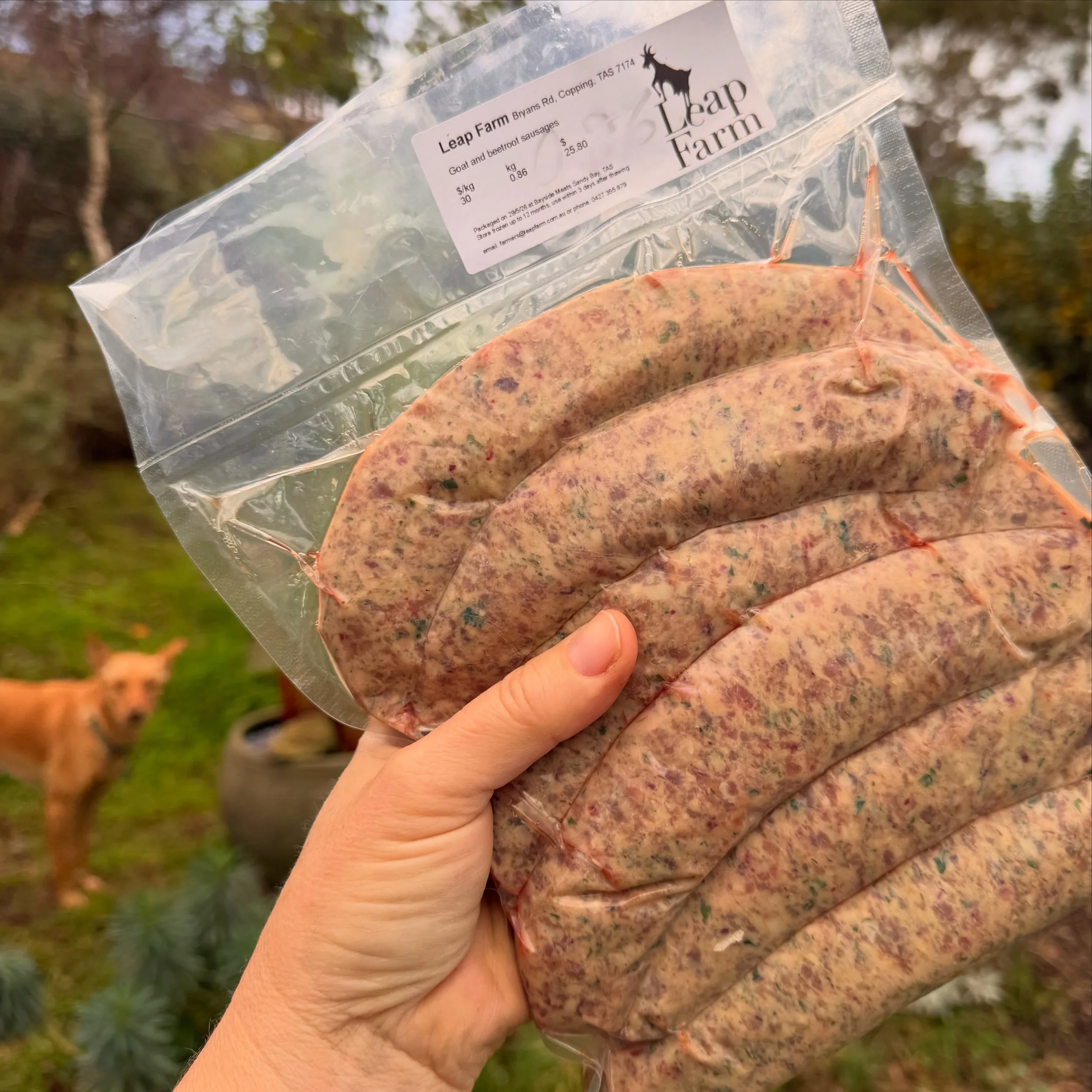 Guess what we have back in stock at the @breamcreekfarmersmarket - we have our fabulous beetroot and herb sausages, as well as Boerewors. We have all the goat cuts available, and it&rsquo;s the last of our fresh @tongolacheese for the season. 

This 