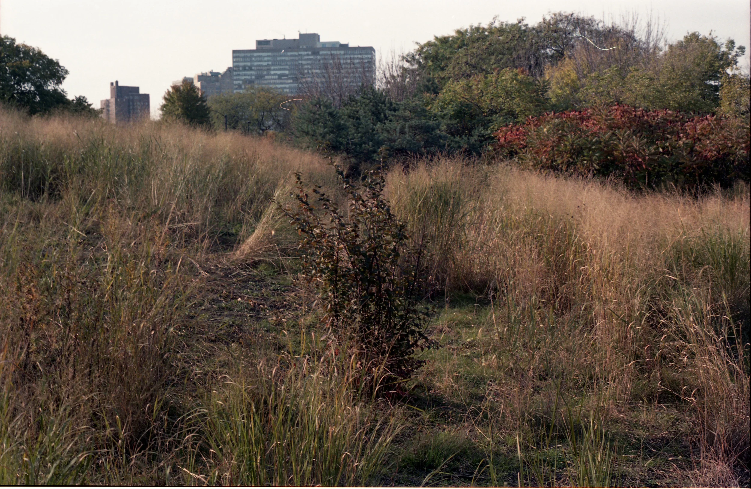 img015.jpg