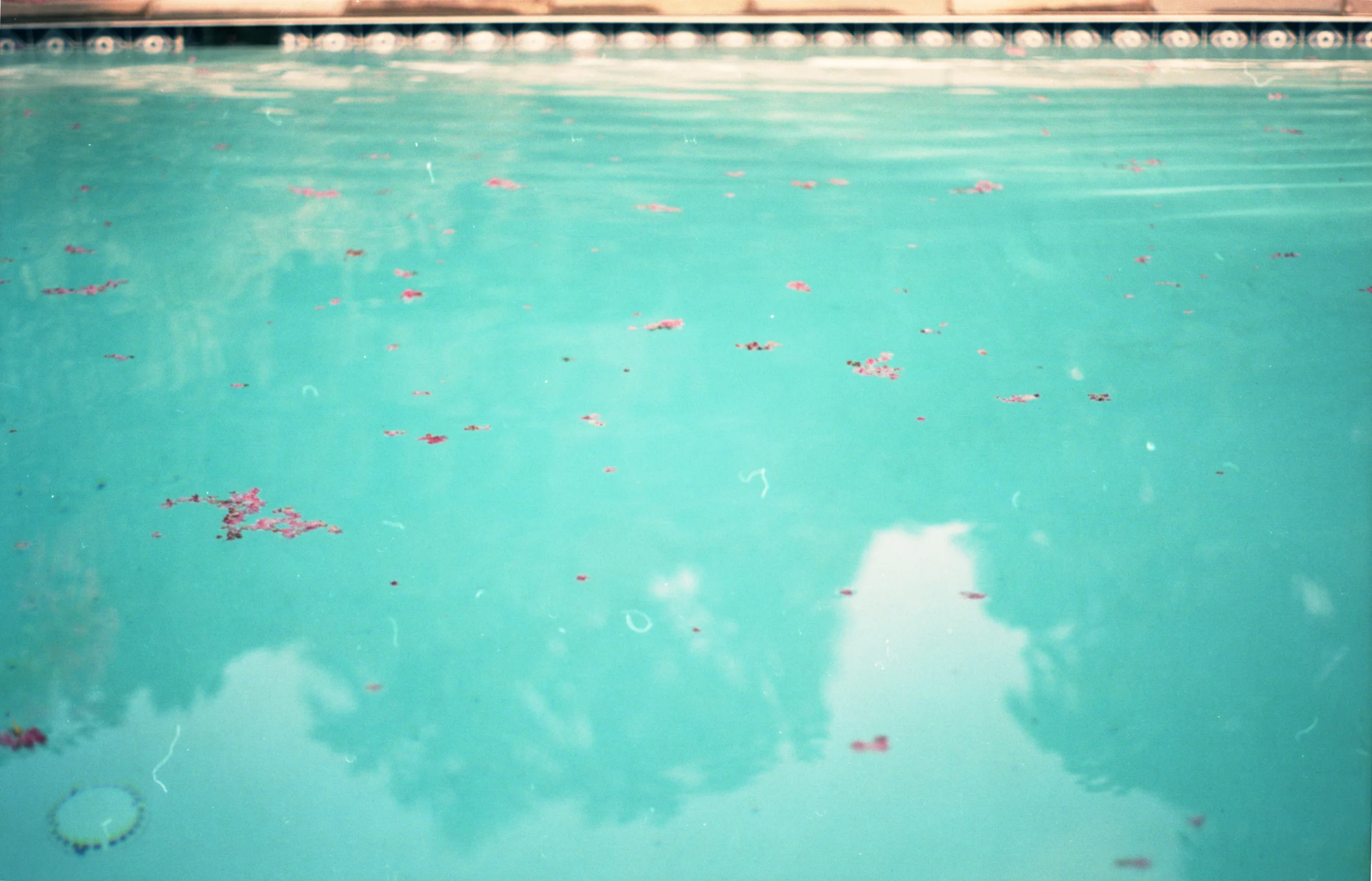 img076.jpg