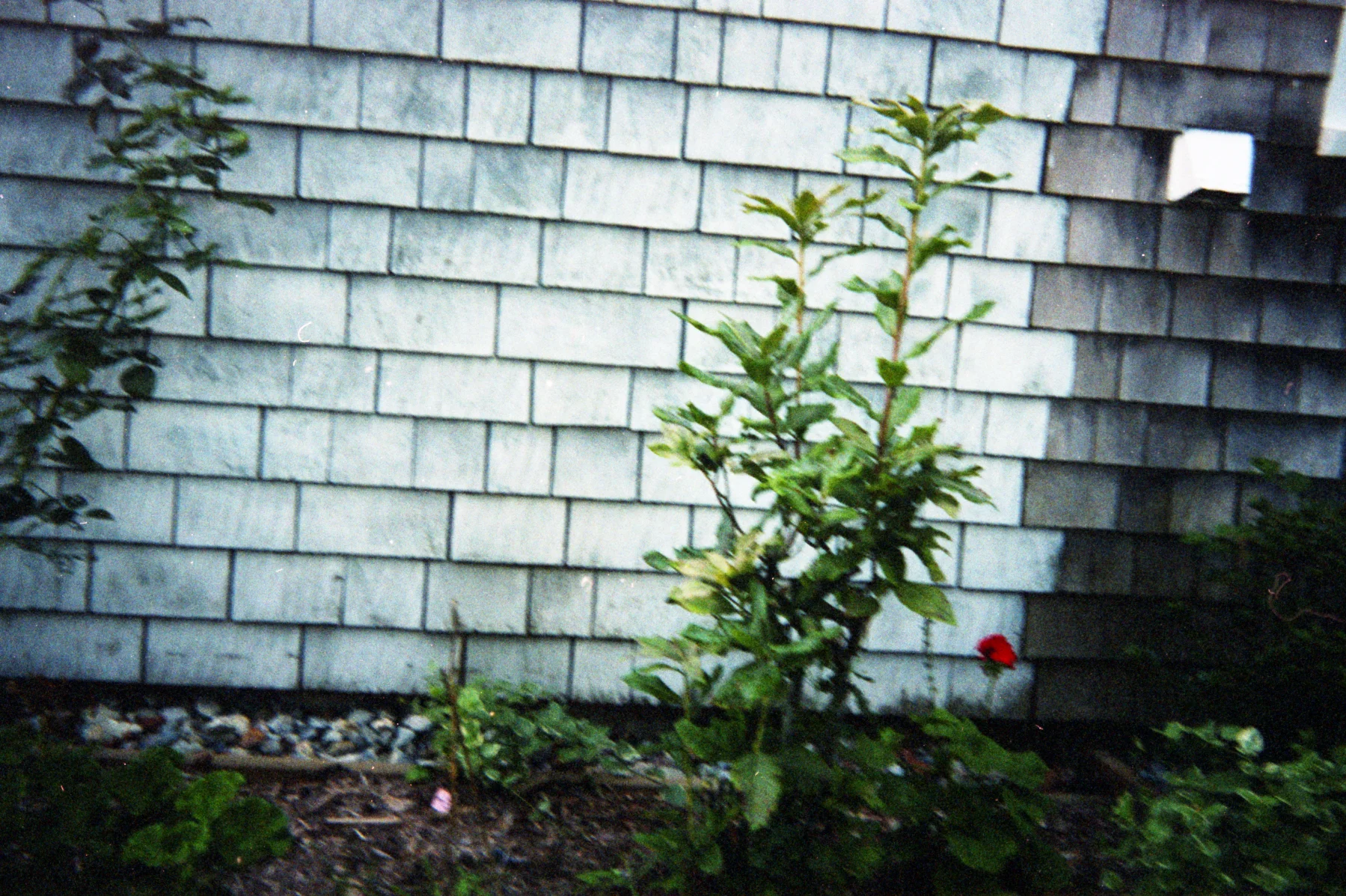 *img044.jpg