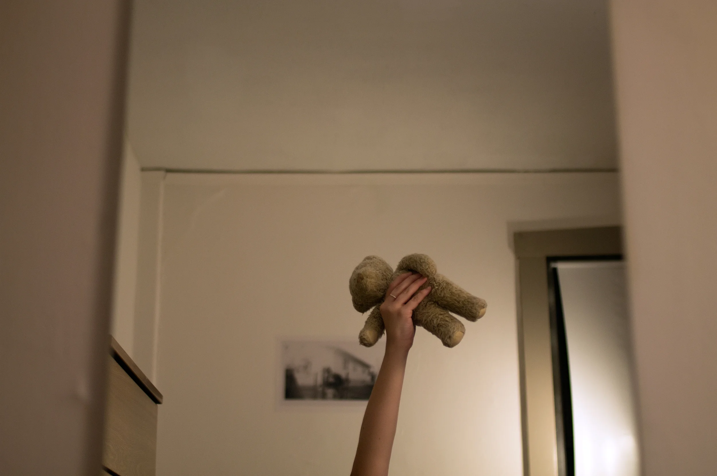 web-edit-teddy.jpg