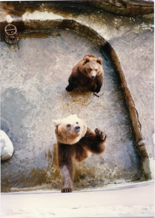 zoo_spain_img050.jpg
