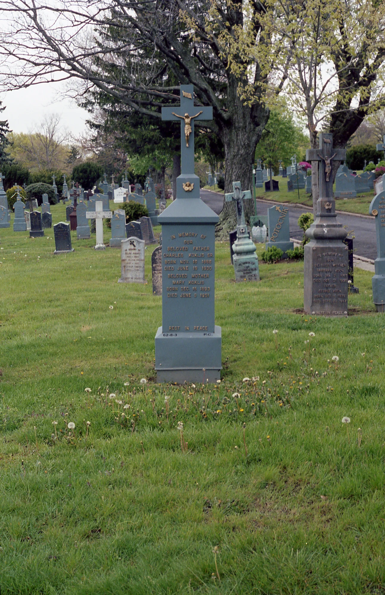 for-web-edited-IMG030.jpg