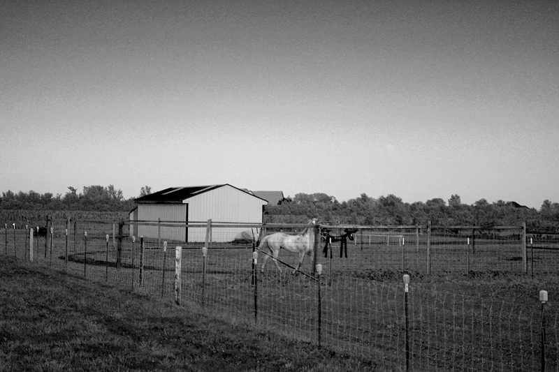 resized-for-web_IMG_1162-bw.jpg