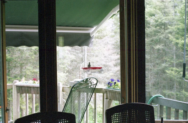 for-web_cropped_IMG032-.jpg
