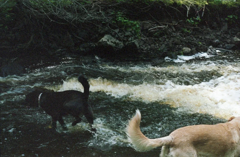 for-web_cropped_IMG056.jpg