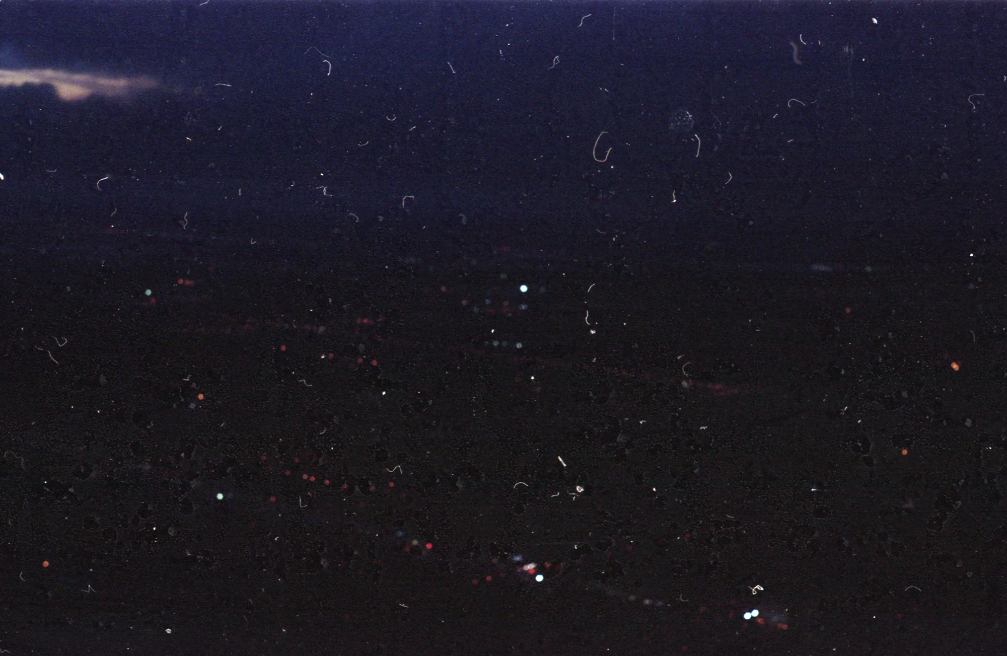 personal003 copy.jpg