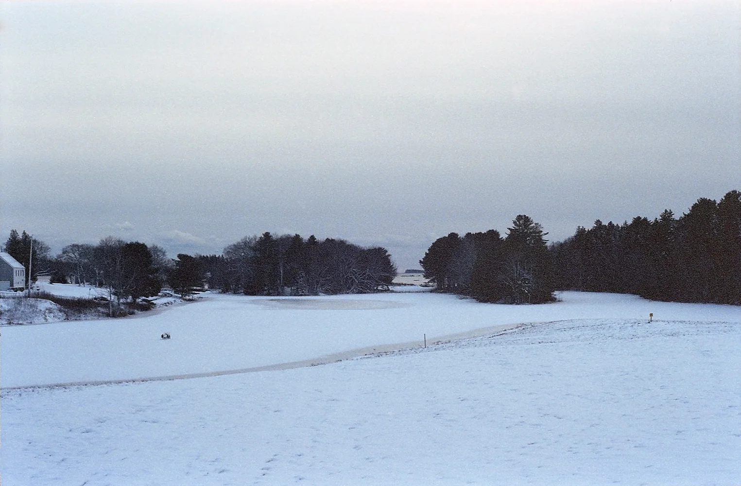 for web_img012.jpg