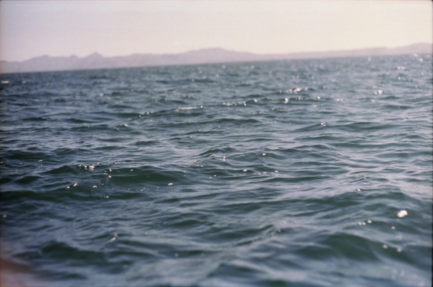 for web_img116***.jpg