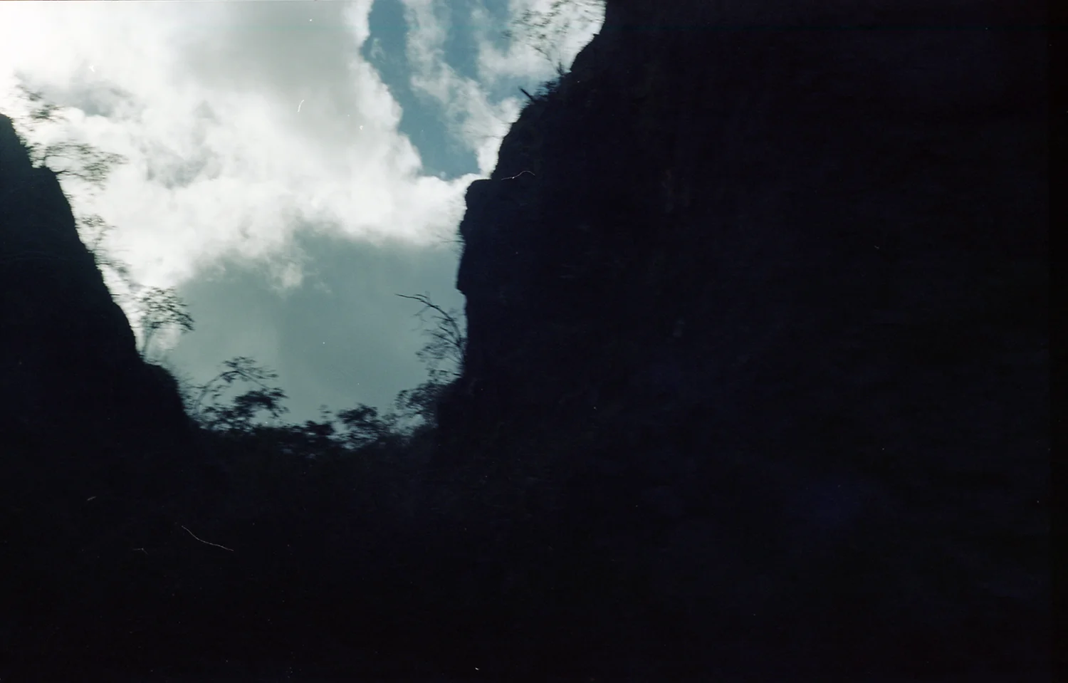 for web_img081.jpg