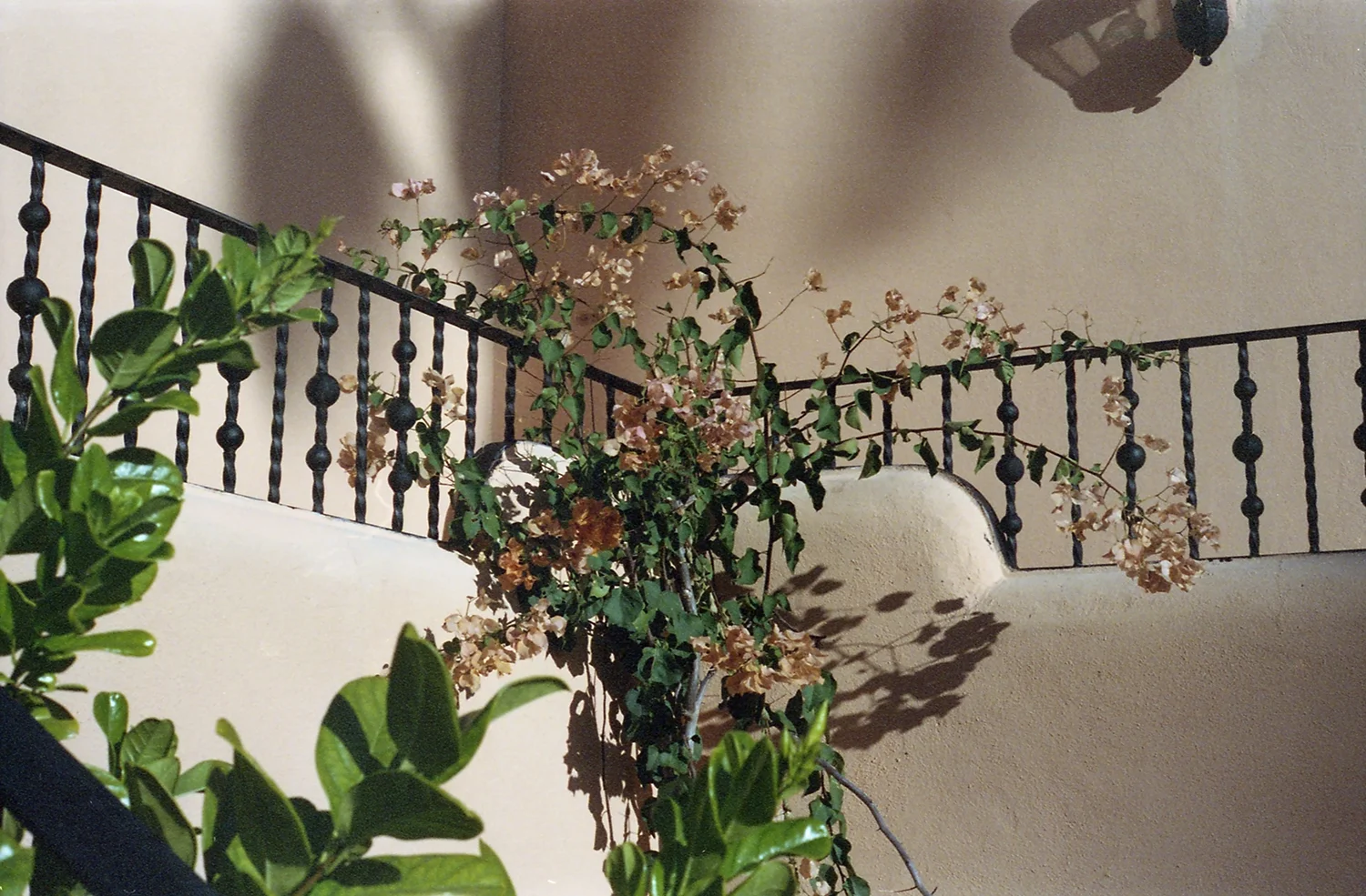 for web_img093*.jpg