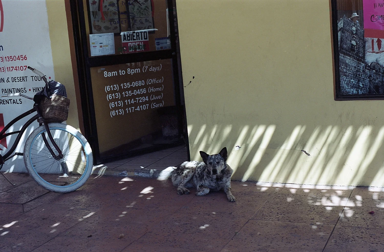 img145.jpg
